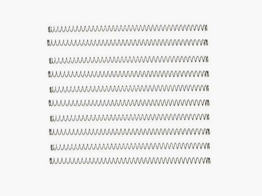 10 sluitveren XP Walther M1