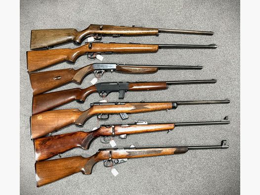 Fusils - collection de 7 armes cal. .22 diverses