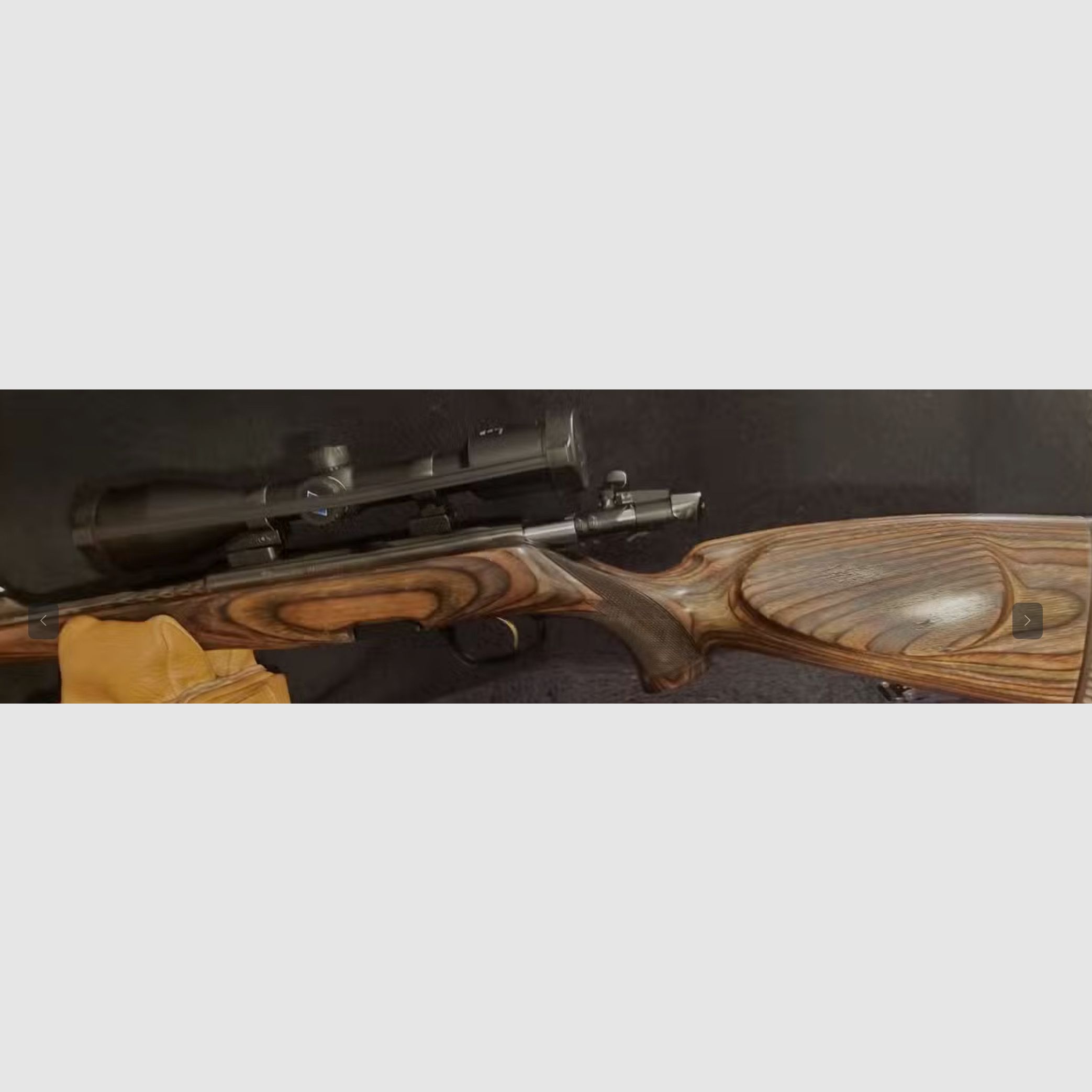 Steyr Mannlicher L .308Win Jagd