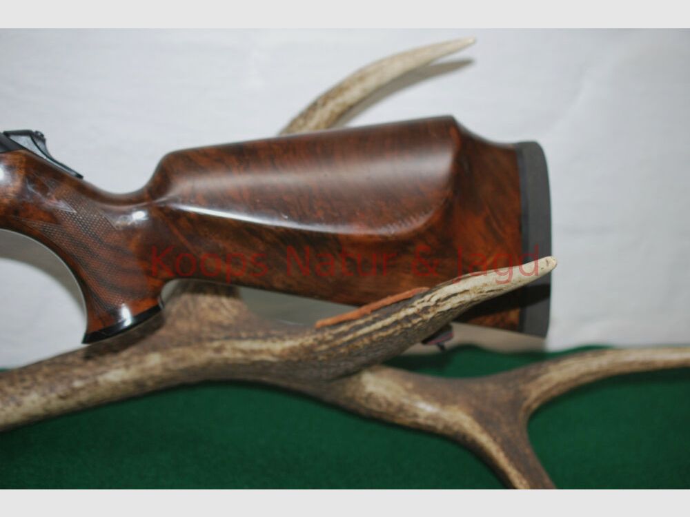 Merkel Helix Dame DS Noblesse