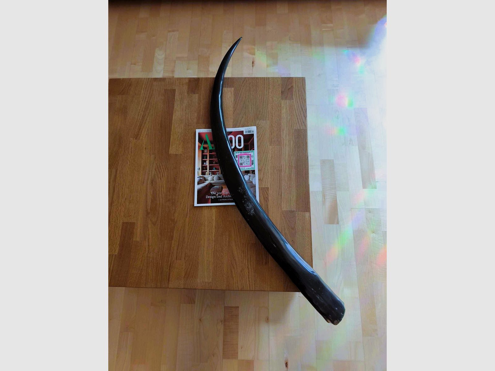 Longhorn Thai Buffello XXL Wasserbüffel Horn poliert 117cm