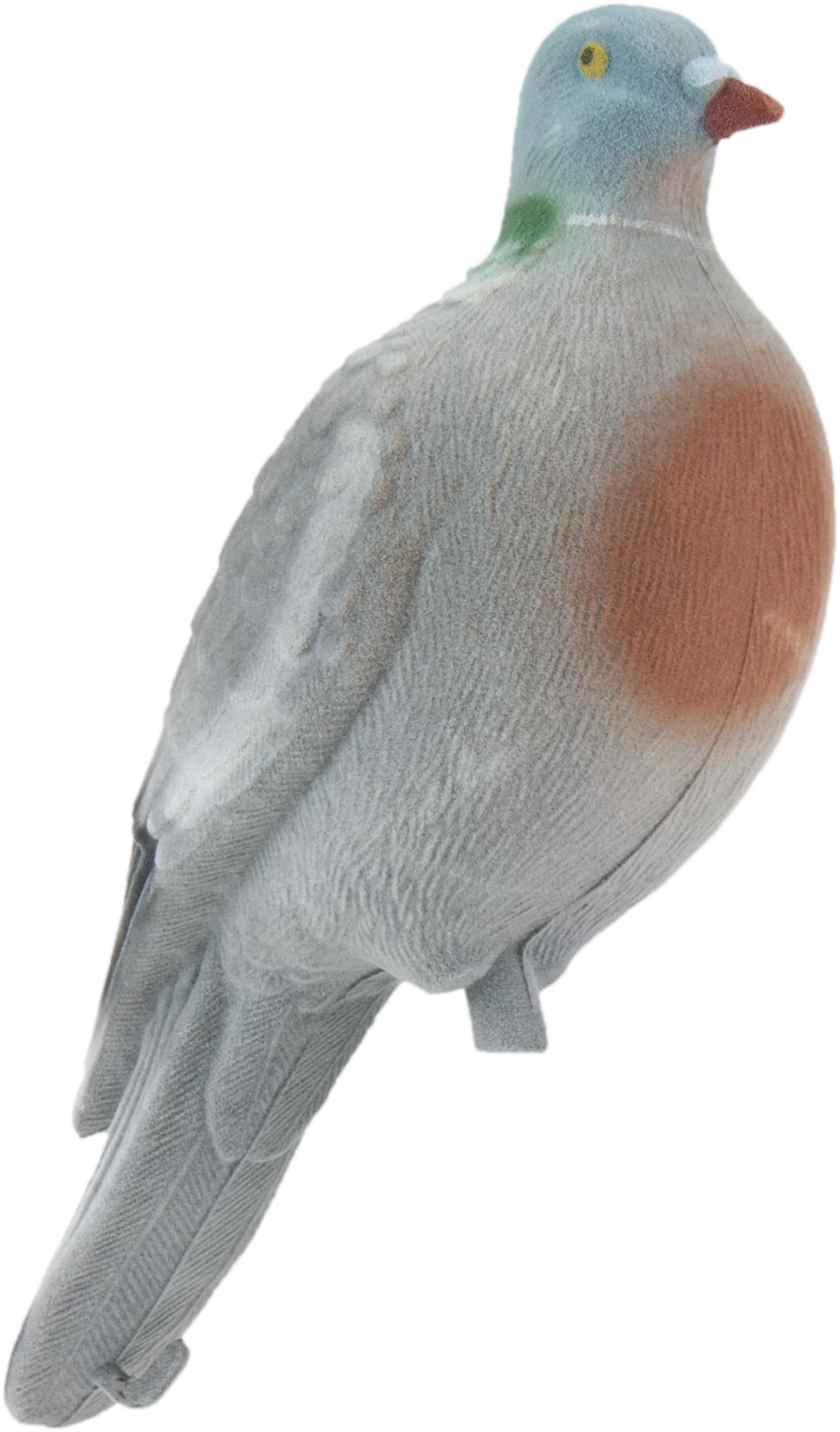 Pigeon a chiusura totale, immagine 1 di 5