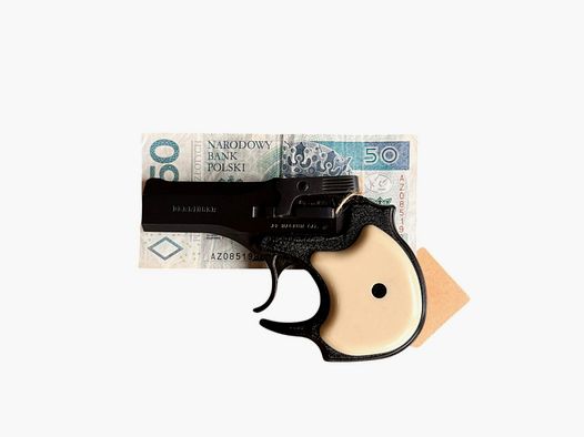 High Standard Derringer DM101 | Pistolet .22 Mag | Fortguns
