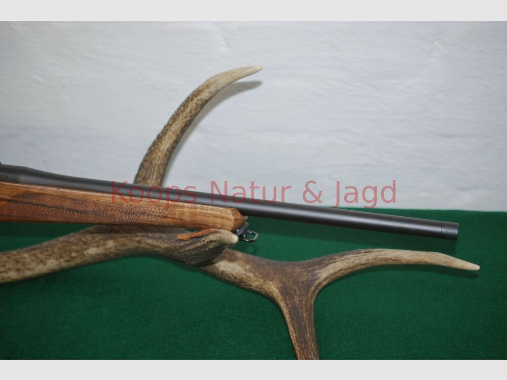 Sauer 101 Artemis