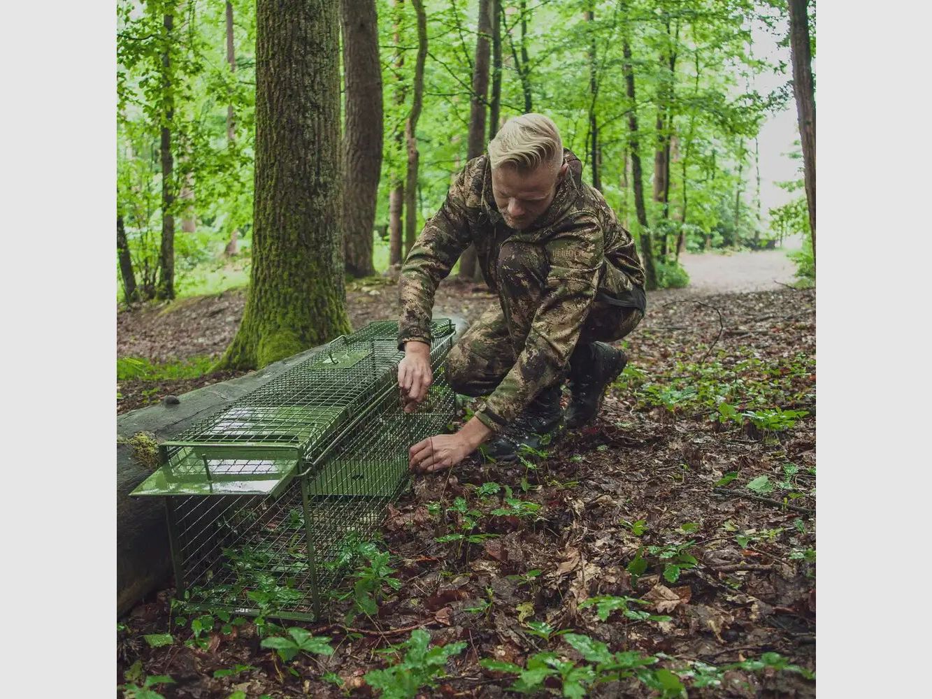 Trampa trampa captura viva - dos puertas abatibles