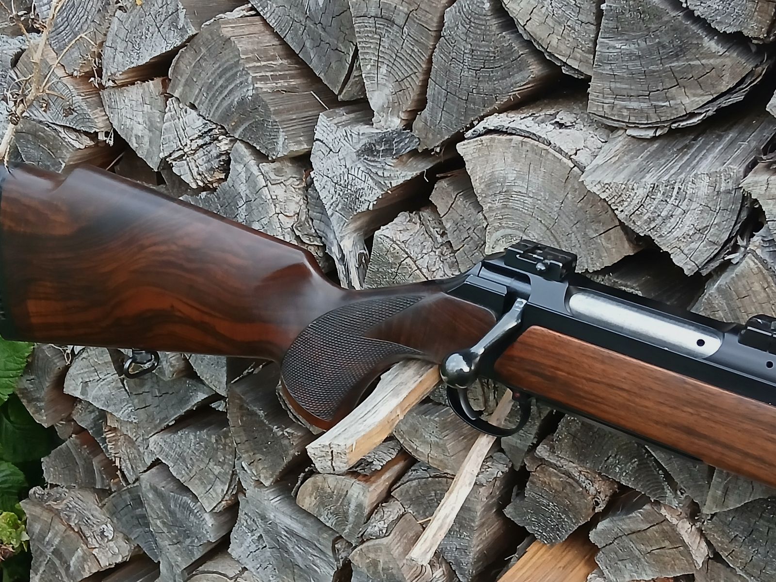 Sauer 200