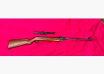 air rifle