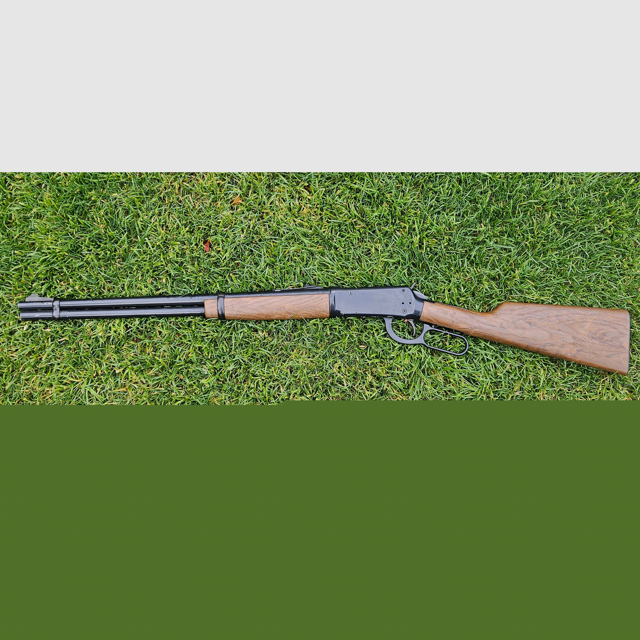 Daisy Rogers AR USA BB4,5 mm