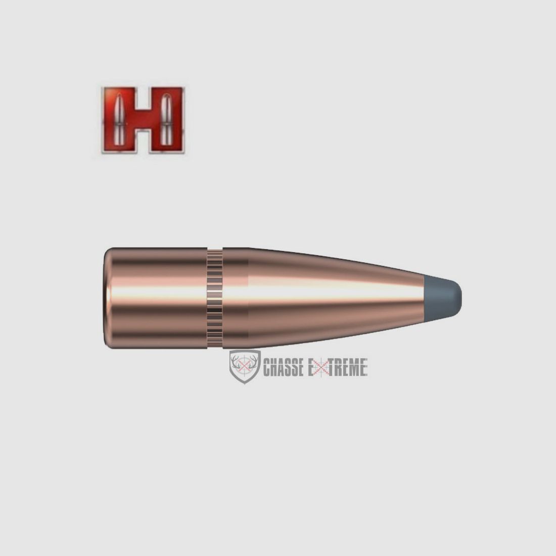 25 Geschosse HORNADY 30 Kal 308 150gr SP InterLock