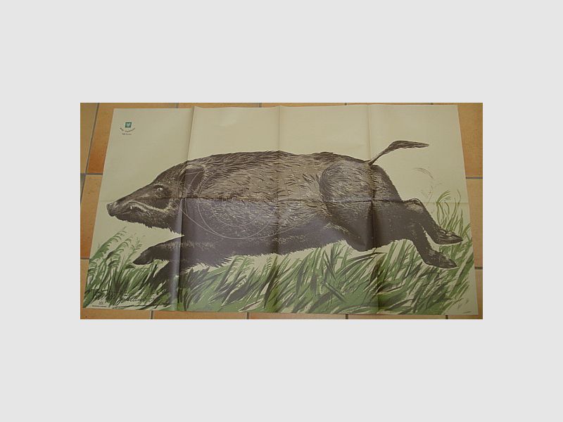 DJV Disco No5-Transición - transición fugaz izquierda-antigua