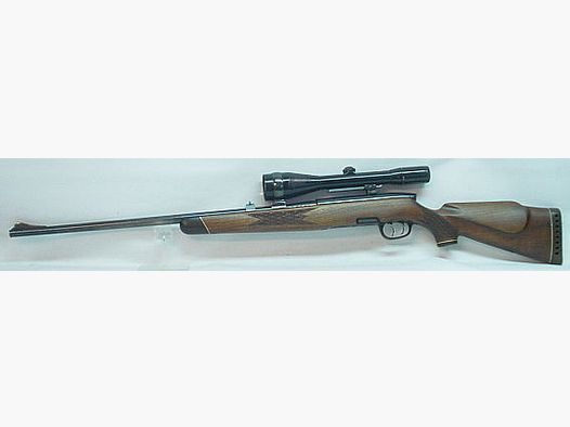 Steyr Mannlicher S +Zeiss Diav.D2,5-