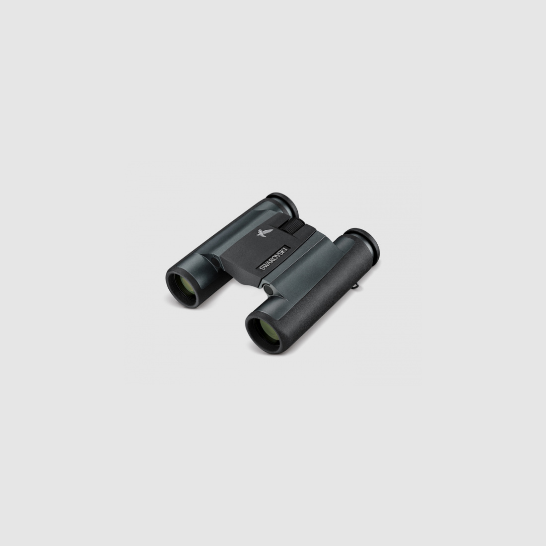 Swarovski CL Pocket Mountain 8x25 B binoculars