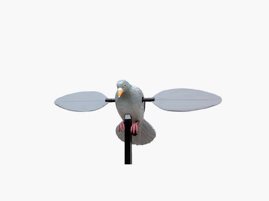 Drehflügel-Pigeon Stepland