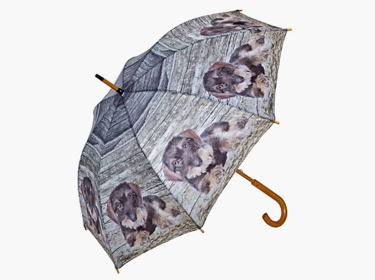 Regenschirm Dackel