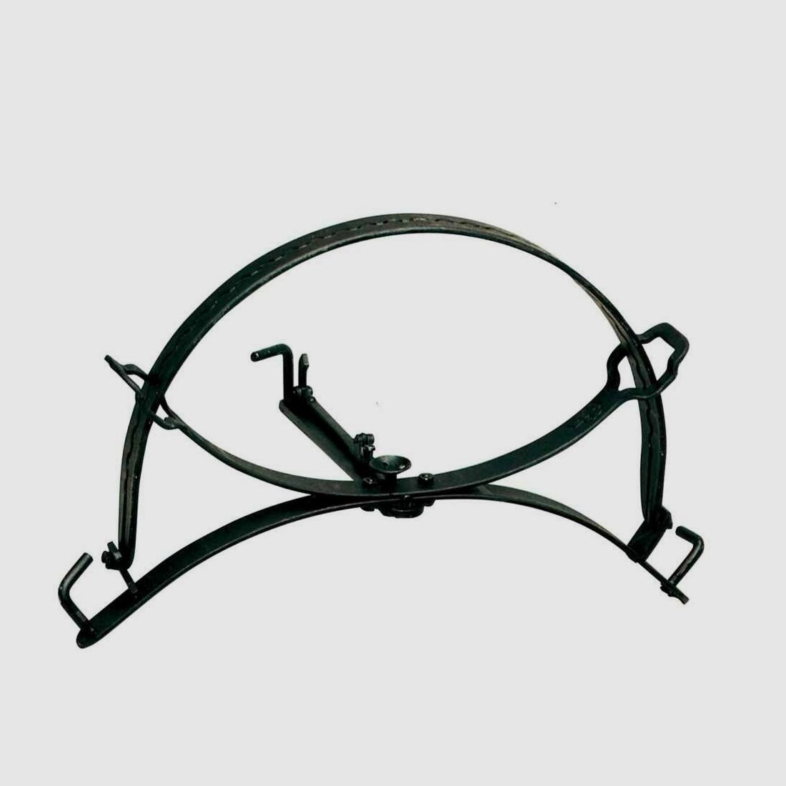 Schwanenhals Weißer