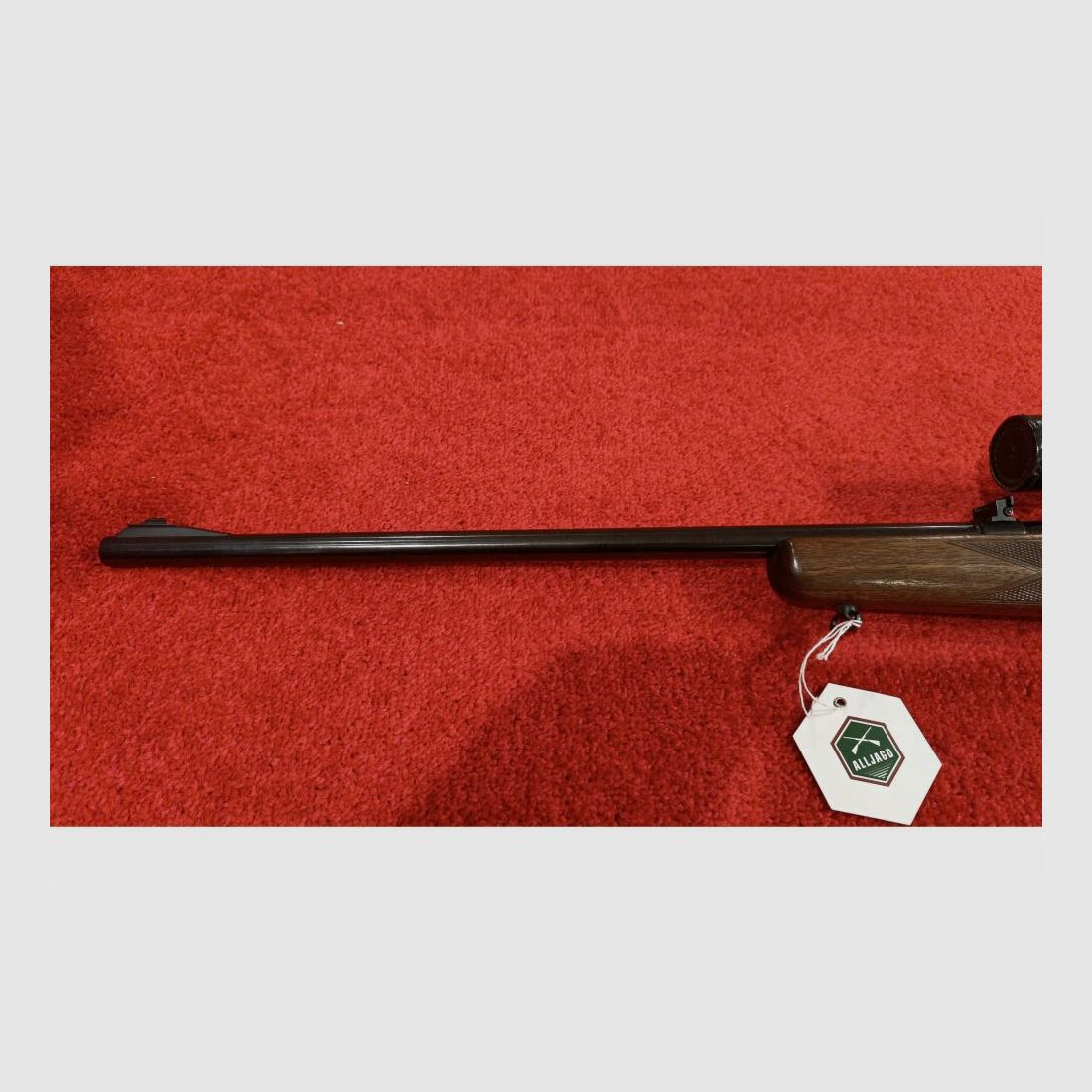 Anschütz bez .22WinMag