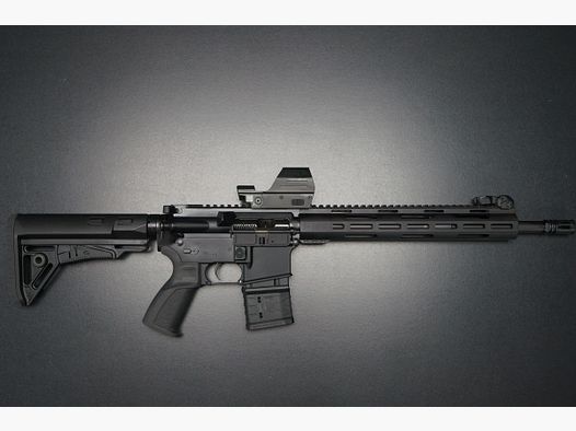 Lux Def Tec AR15 L4 + Falke LE d'occasion