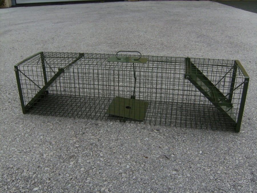 DAUTH Drahtkastenfalle mit zwei Klapptüren