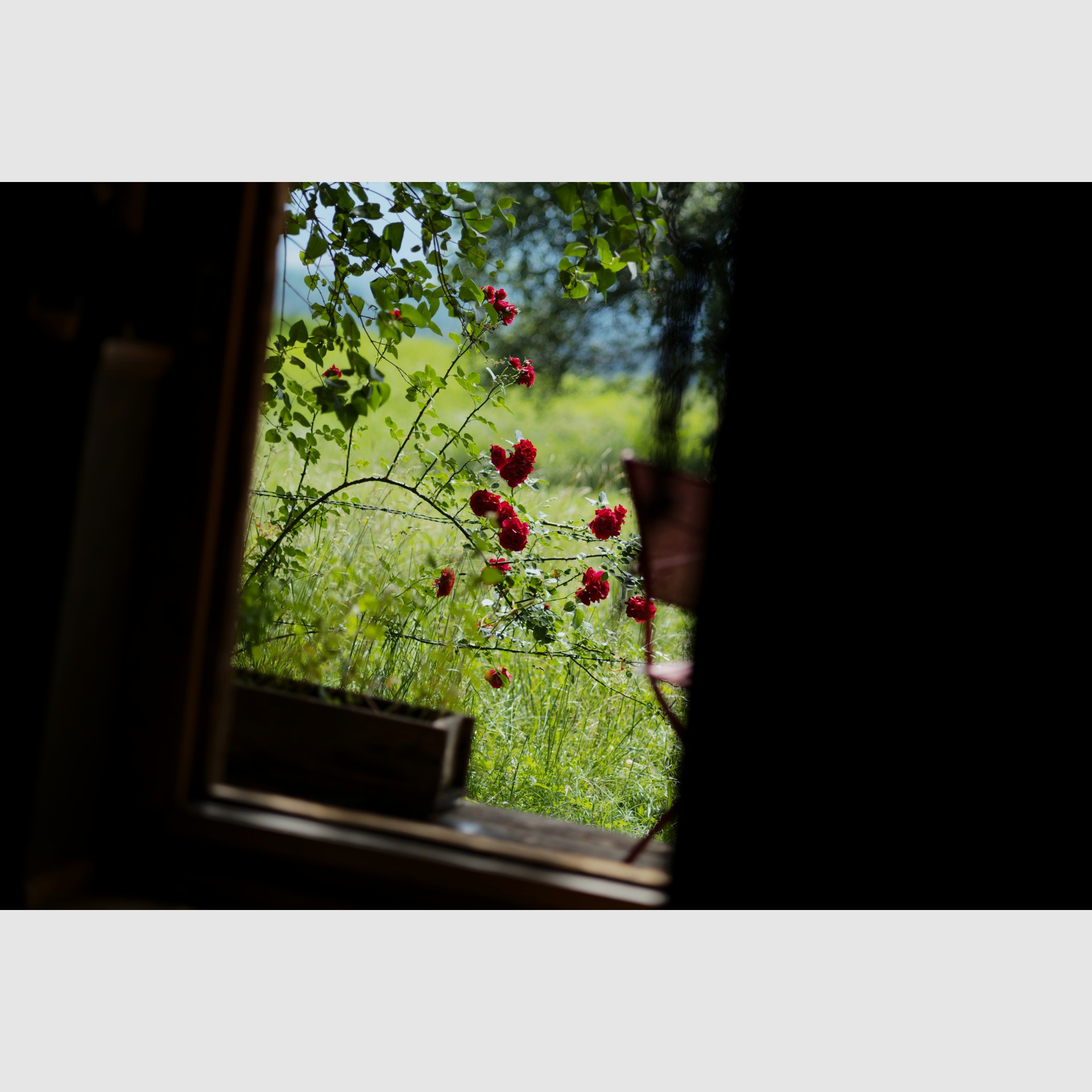 BAVARIAN SLIDE SHOW BIWAK