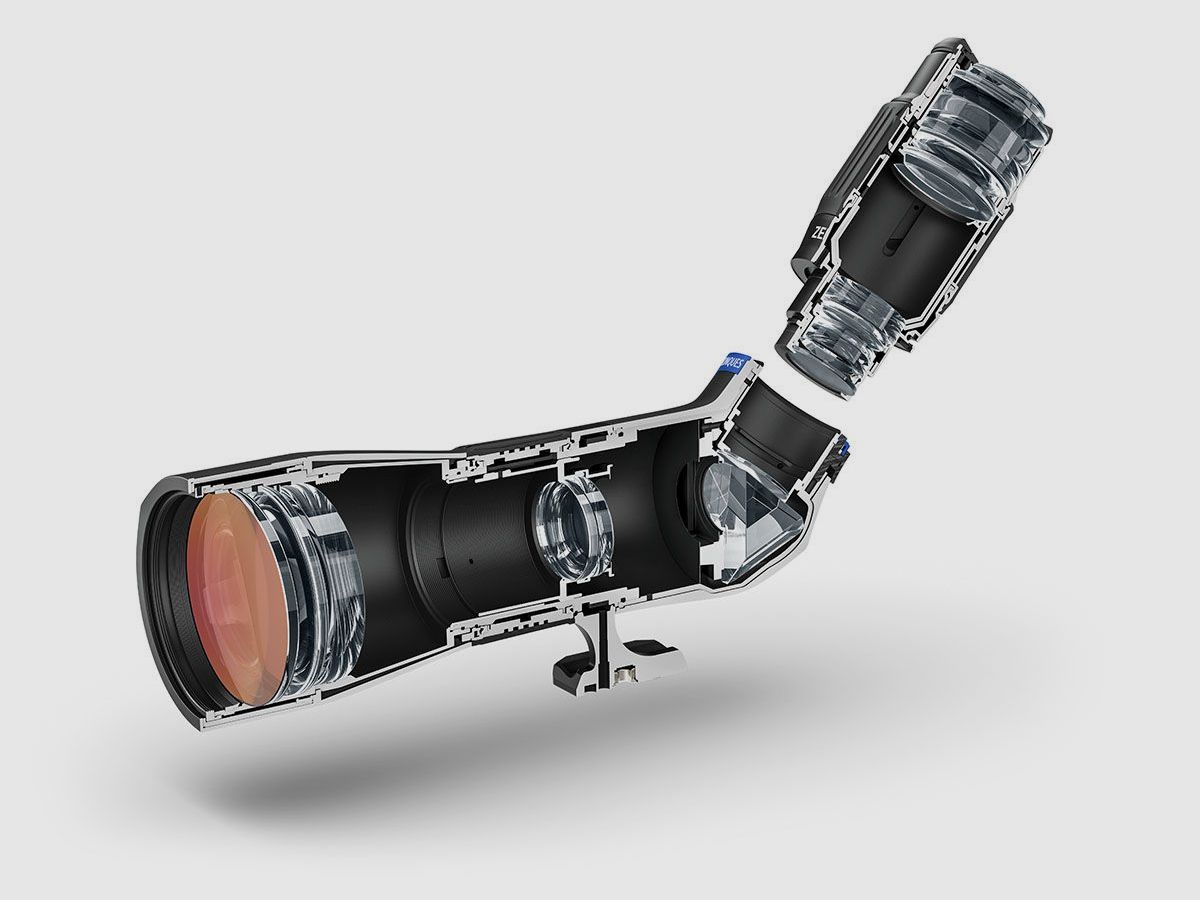 ZEISS Conquest Apia 65 incluant oculaire 20-50x, image 2 sur 4