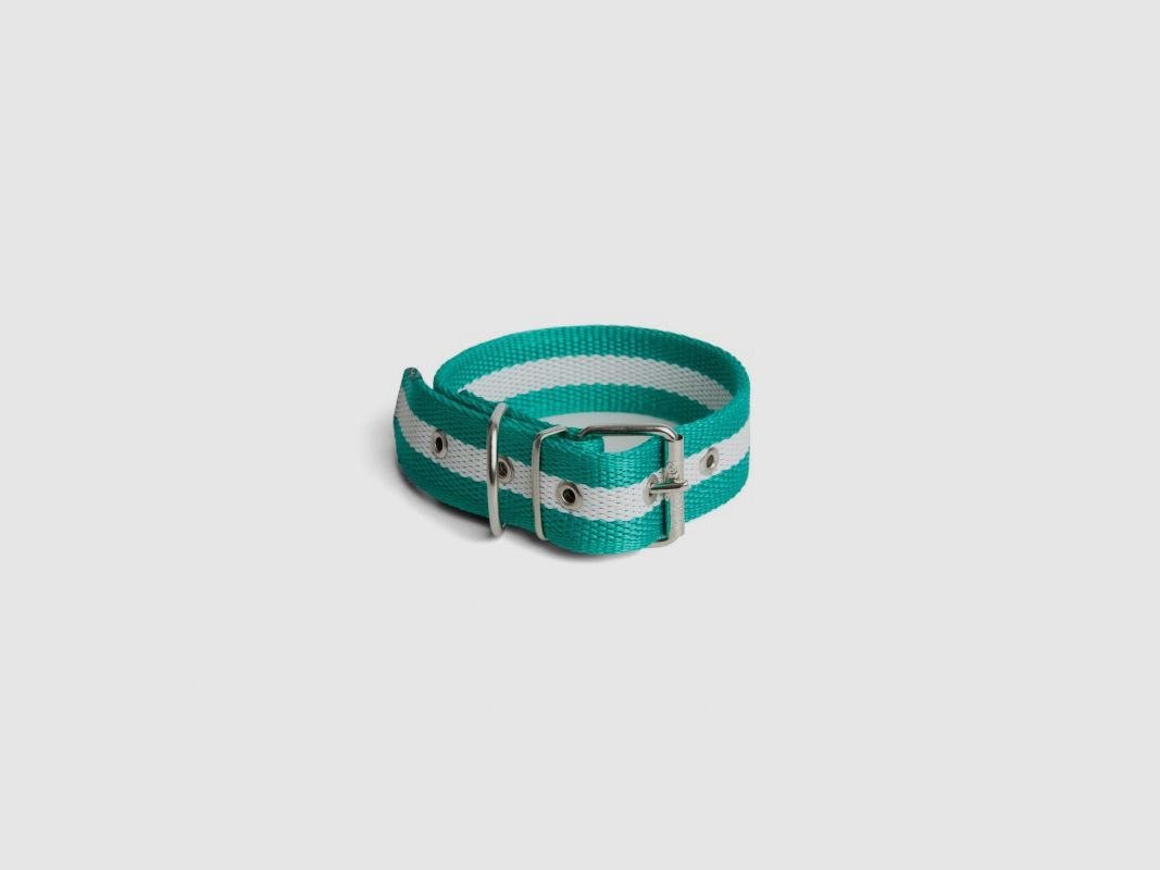 Halsband aus verstärktem Nylon mit Andalusien-Flagge