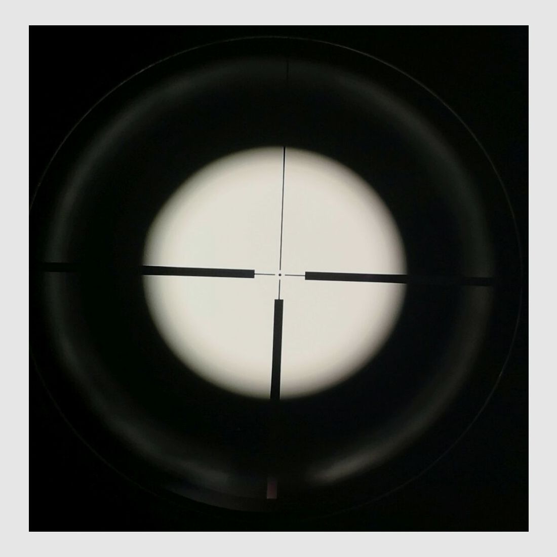 Zastava with Roedale Hunter 50i & Dontop 2.5-10x56E scope