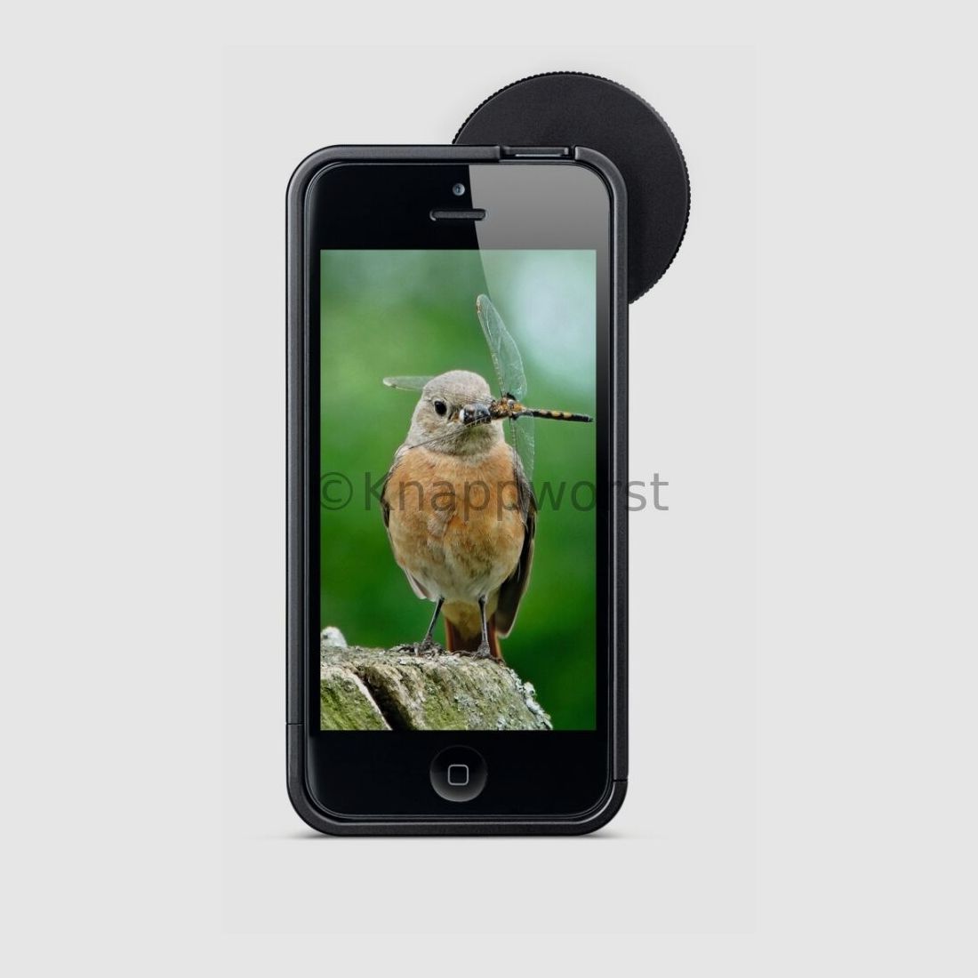 Adapter Swarovski PA-i6 do iPhone 6, zdjęcie 1 z 2