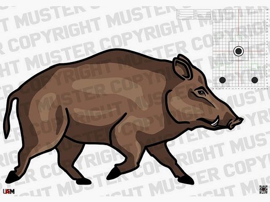 Cible de chasse sanglier DIN A1 – Cible réaliste pour un tir précis