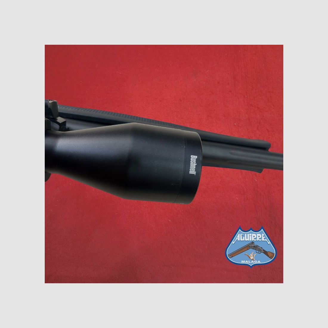 Bergara BA13 Thumbhole Kal. .222 Rem + Zielfernrohr Bushnell, Bild 6 von 9