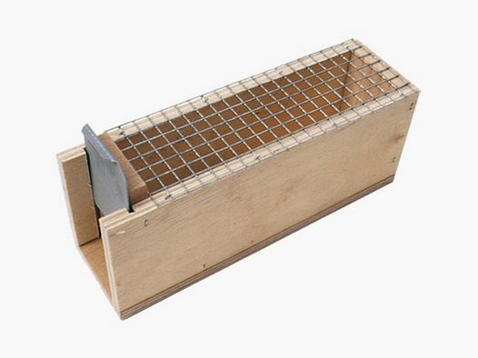 Box mouse trap