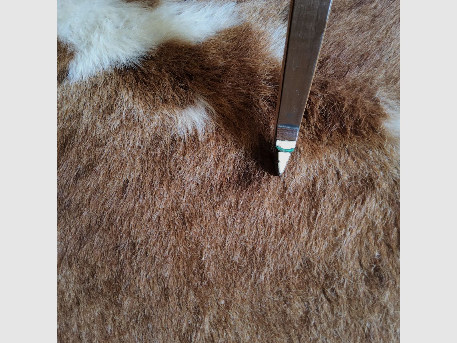 Black Flash Archery Jagdbogen Impala Bogen im Set