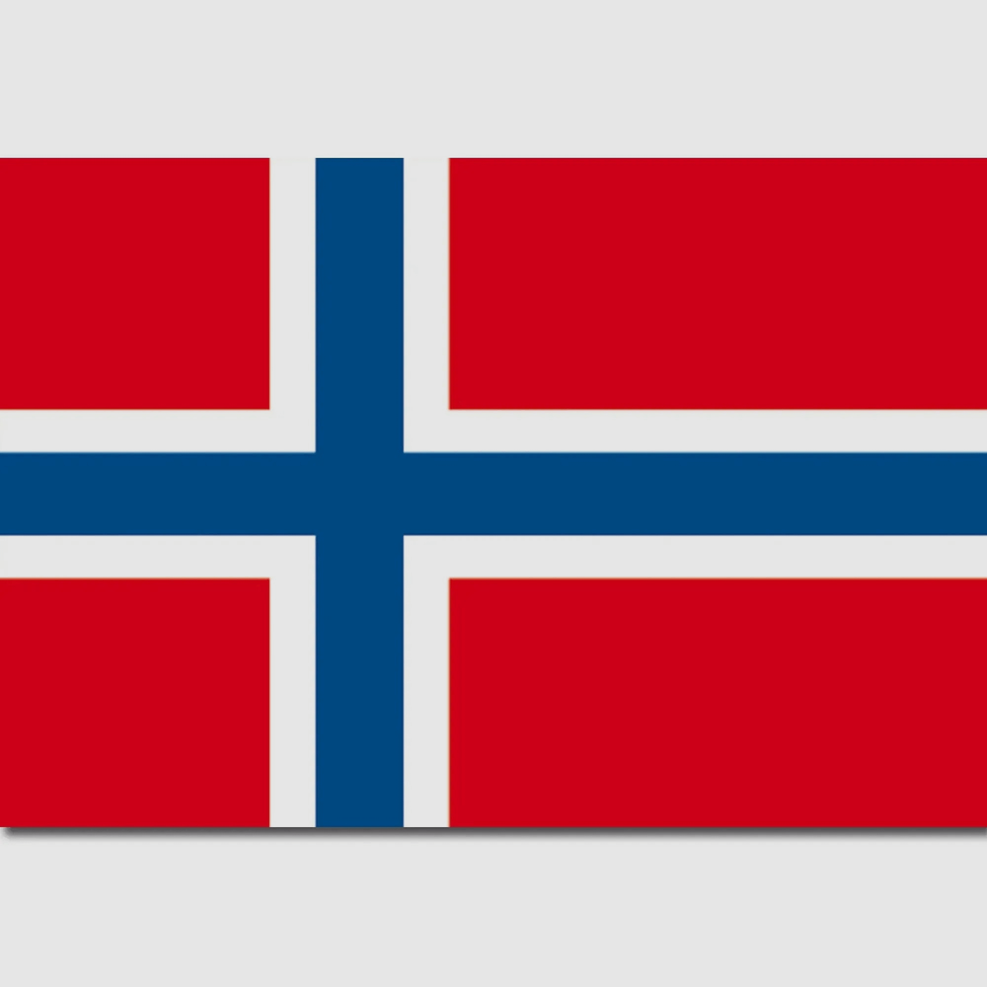 Diverse Flagge Norwegen