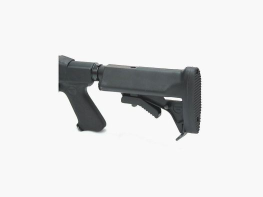 Crosse M4 à poussée 5 positions Ruger 10/22