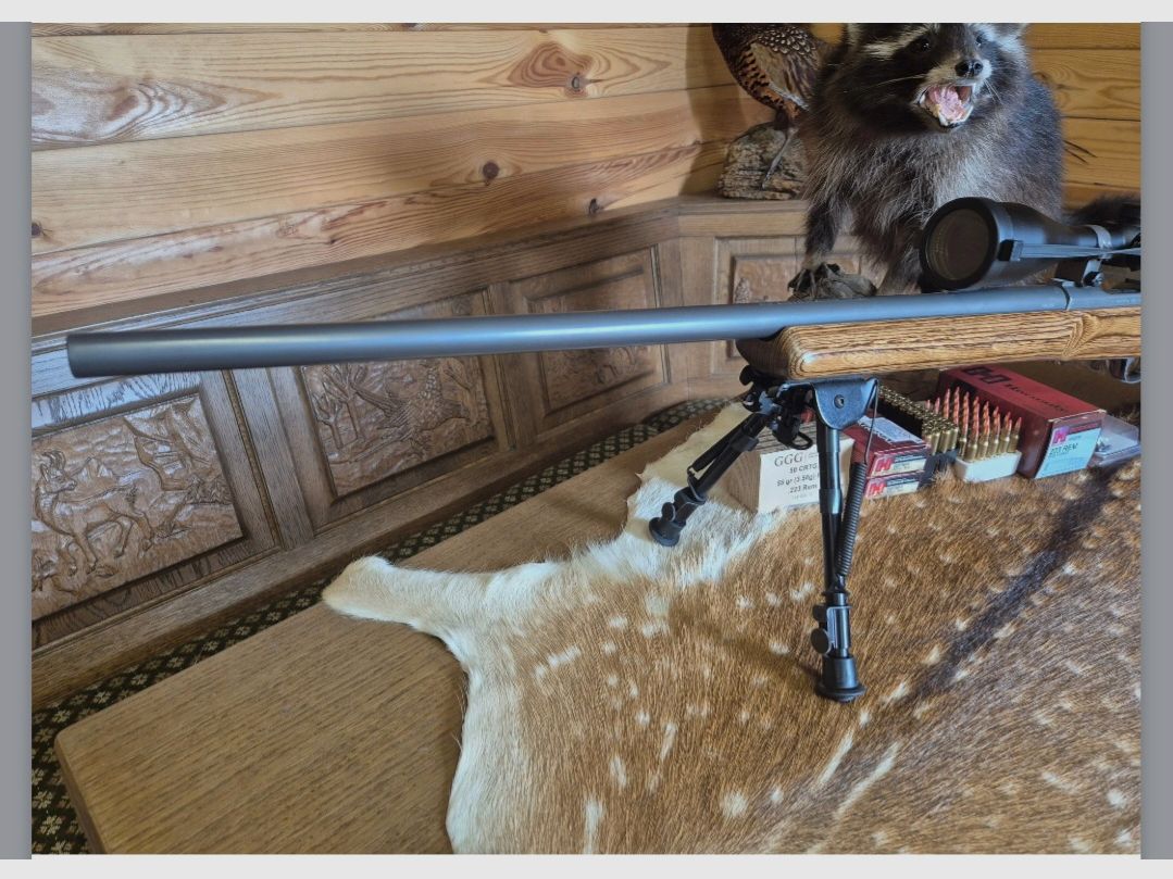Ruger M77 MK2 VT Varmint/Target SS 223 REM in very good condition Harris Ultra Light bipod, image 3 of 10