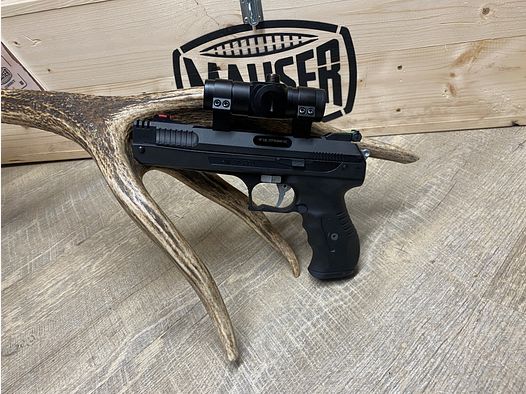 Weihrauch HW 40 PCA, mit Diana Red Dot