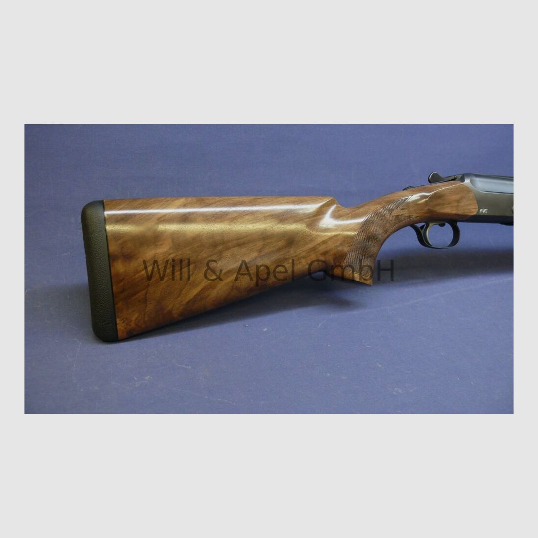 Blaser F16 BDF Game