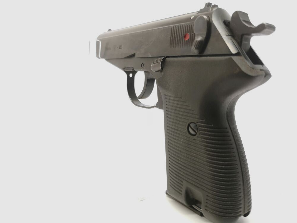 Radom P-83 Wanad