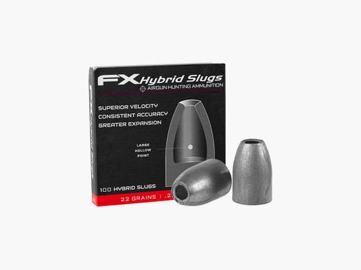 Slugs FX hybrid 5.5 mm HP 22 grains