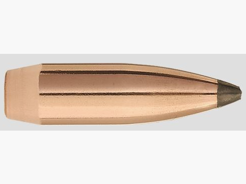 100 Pièces Projectiles .224 Sierra Gameking SBT 65 Grain #1395