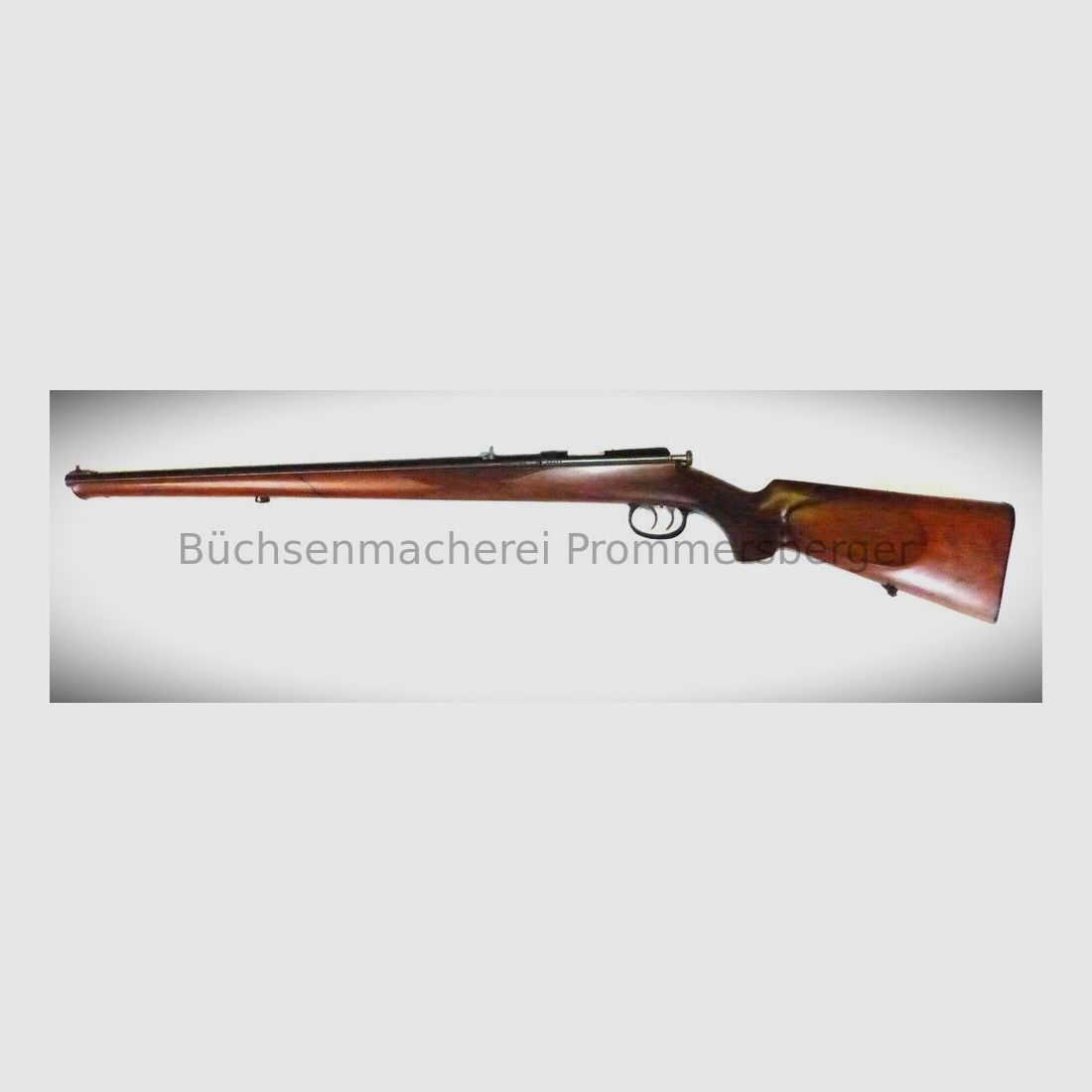 Anschütz Anschütz .22LongRifle ohne