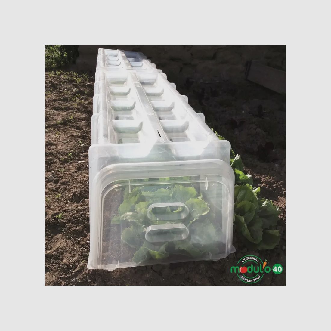 Lot de 10 piquets pour tunnel de forçage / culture, image 6 sur 10