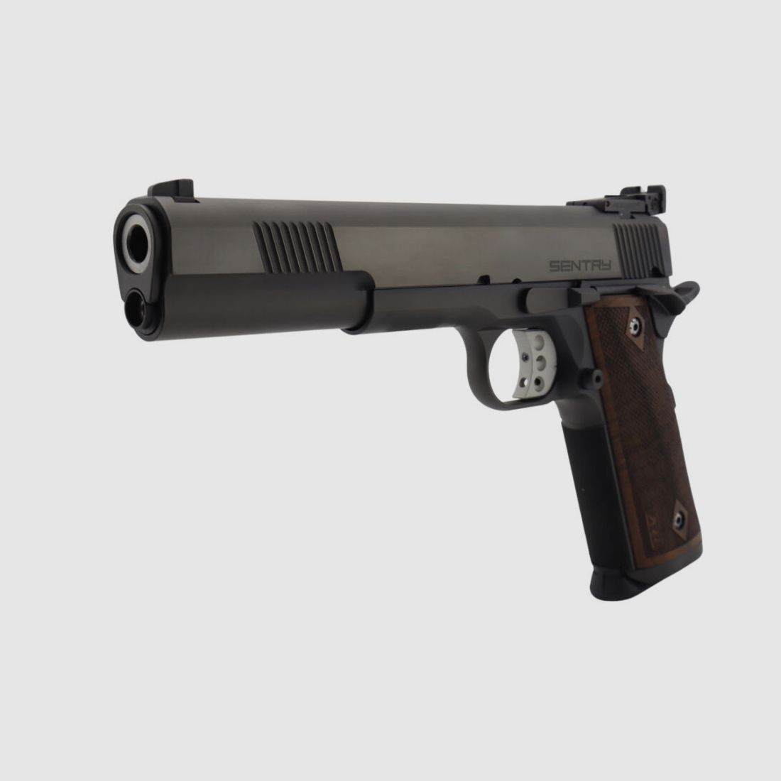 STP Sentry 6.0