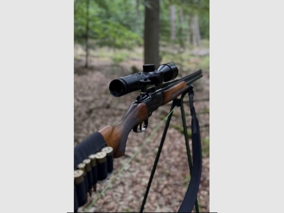 Bockbüchsflinte 7x57R 12/70 con canna intercambiabile BDF 12/70 arma completa, immagine 1 di 3