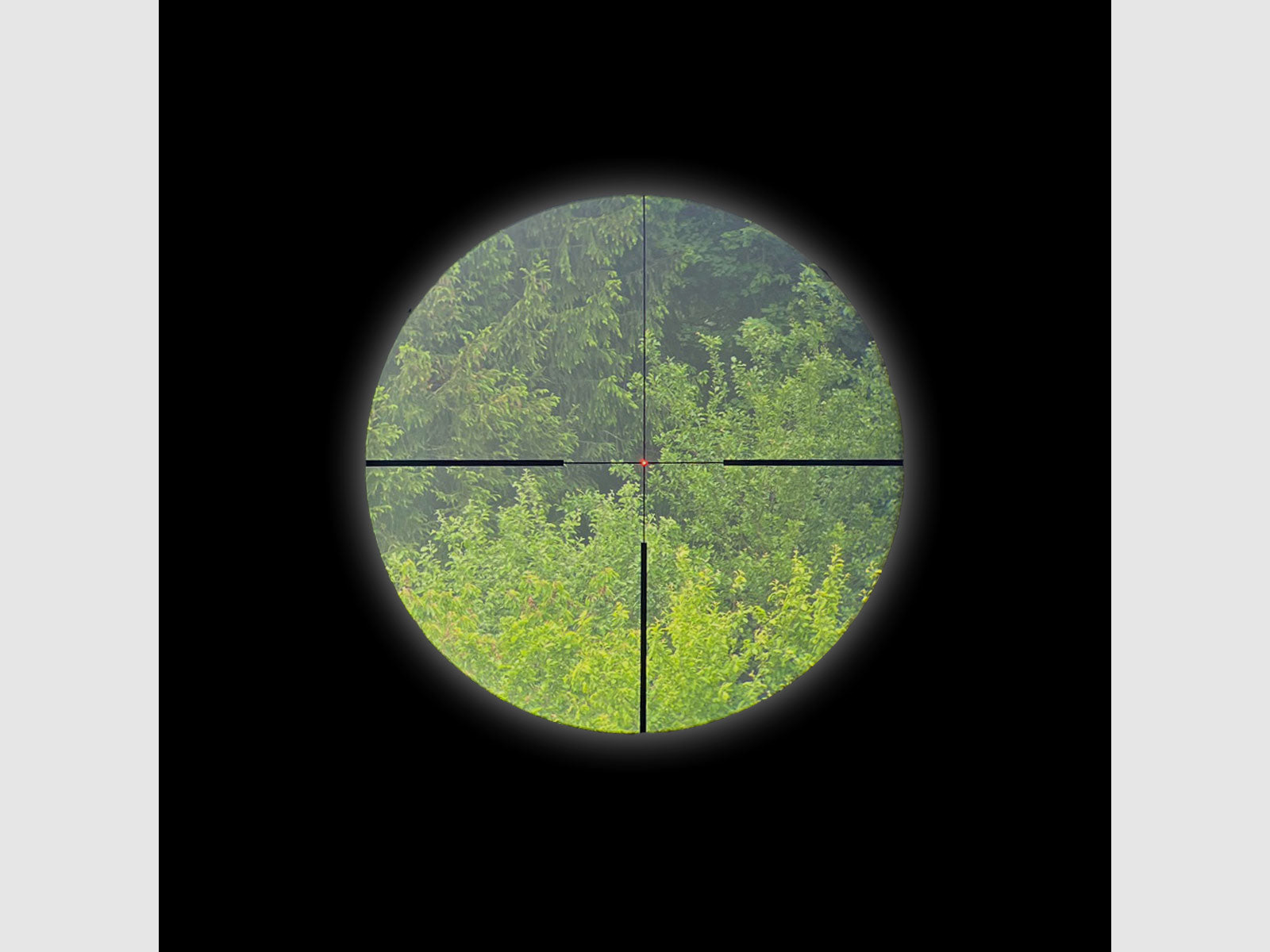 Staffelsee 2,5-20x50 LD V2 réticule en fibre illuminé 4