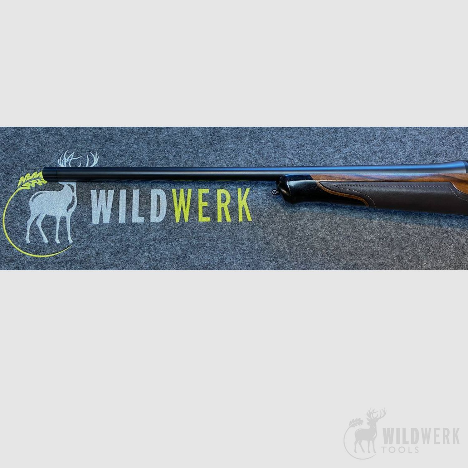 BLASER R8 Succsess Leder 30-06, >>TEILGEBRAUCHT<<