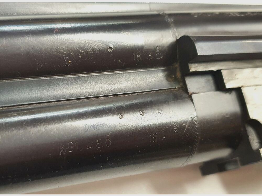 Dynamit Nobel Rottweil 600