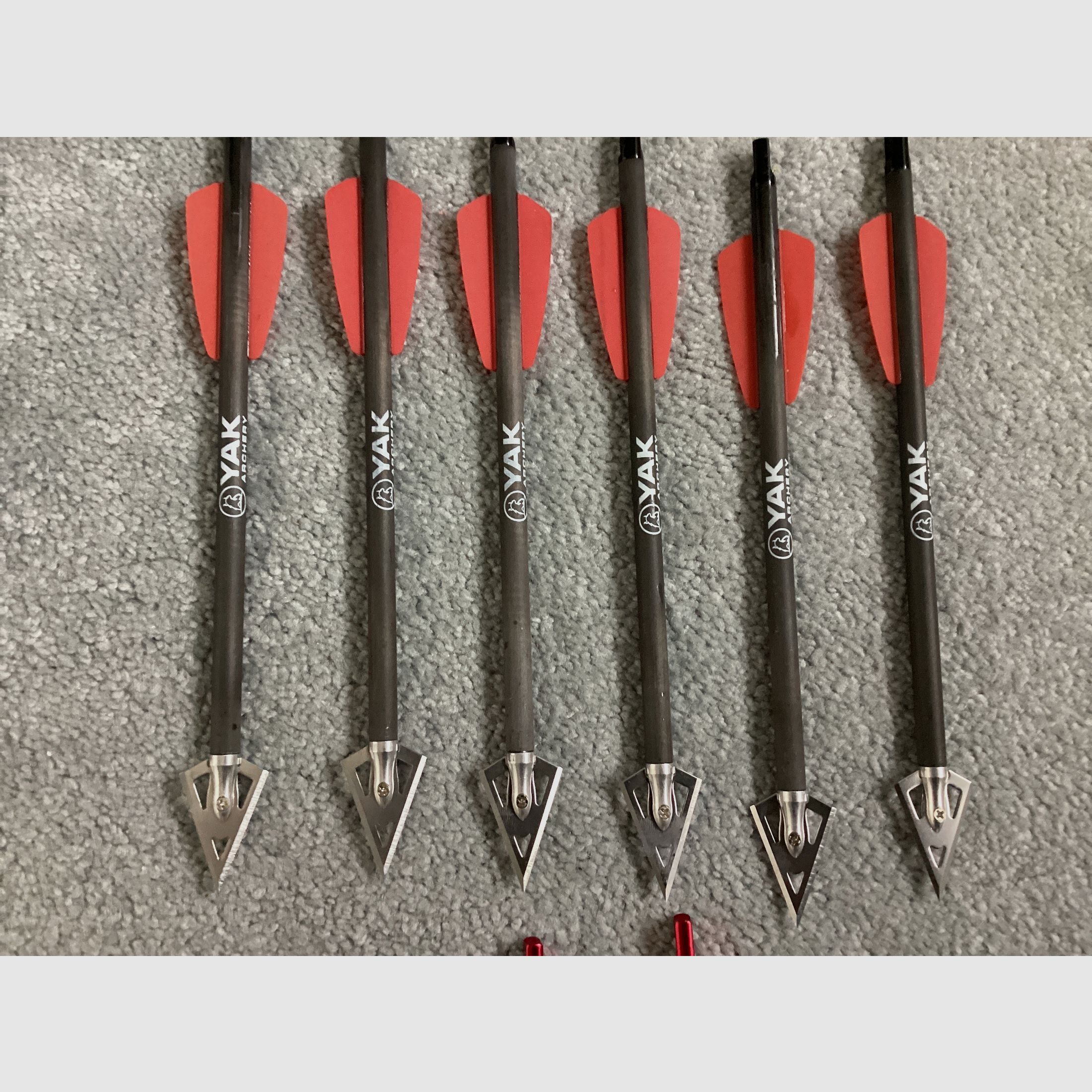 EK Archery Adder Carbonbolzen 7,5 Zoll