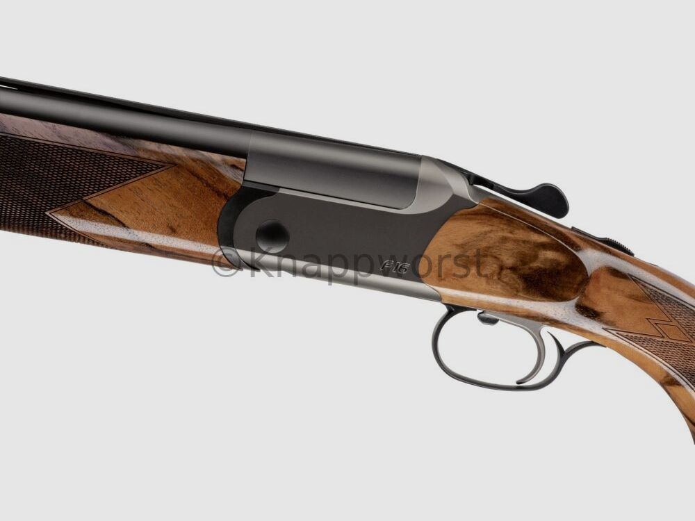Armi Blaser Blaser F16 Game