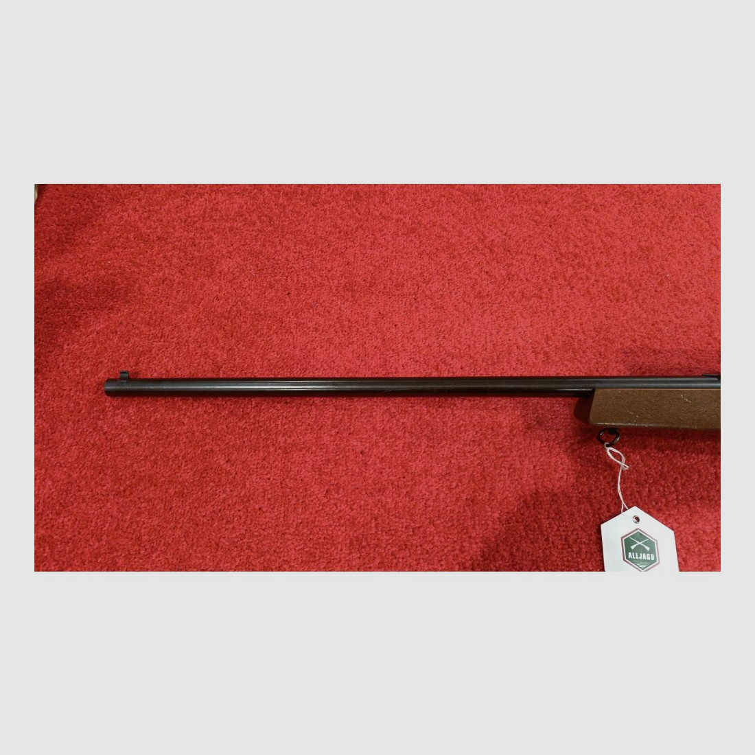 Savage Model 845 .22lr