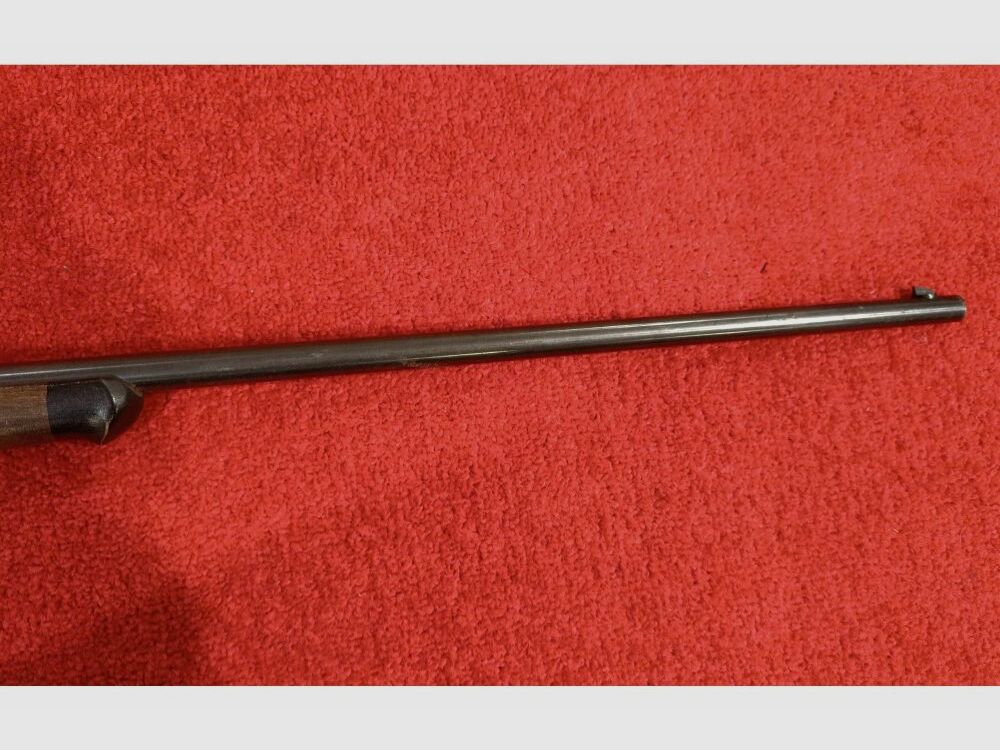 Albert Föhrenbach GmbH Falke .22lr